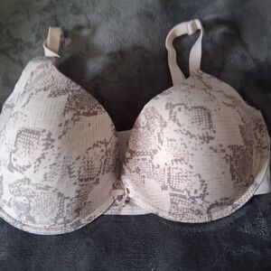 Adrienne Vittadini Snake Print Bra - Cream and Gray padded underwire 38DD